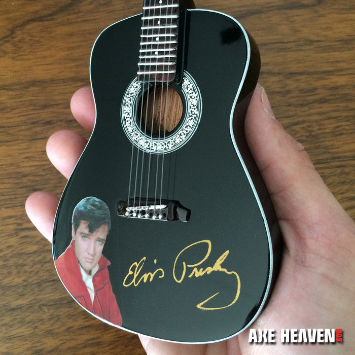 【くりぼう】Elvis Guitars アコースティックギター 初心者セット8点】ELVISエルビス Master 1 アコースティック