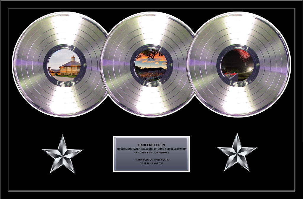 Gold Blank Record Blank 33 1/3 Vinyl LP - Metalized Gold 12 Record Music  Award