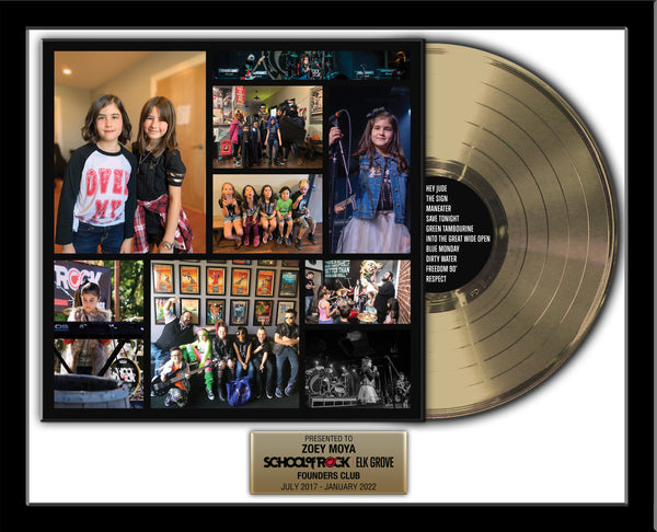 CUSTOM ALBUM COVER AWARD - 12" VINYL LP RECORD - Framed 22" x 18" Gold & Platinum Record Album Tribute
