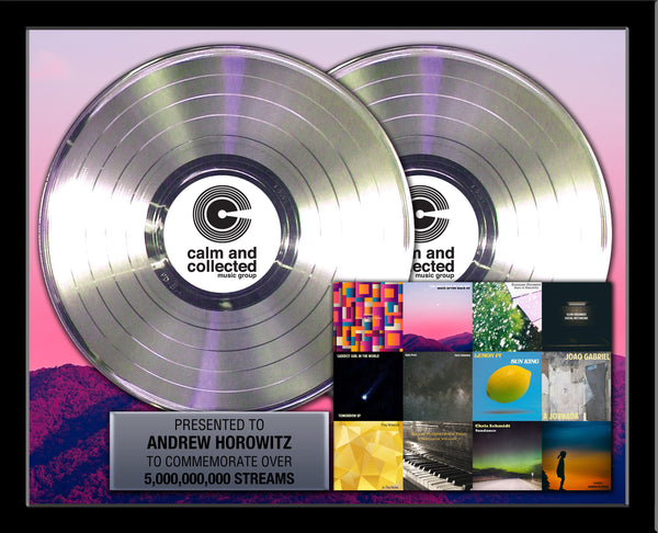 DOUBLE PLATINUM RECORD - 22" x 18" Framed Horizontal 12" Platinum Record Album Tribute