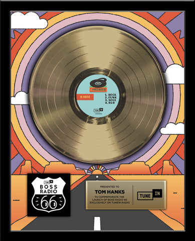 RADIO STATION & DJ GOLD RECORD Achievement Award 18" x 22" Framed 12" - Metalized Gold Record