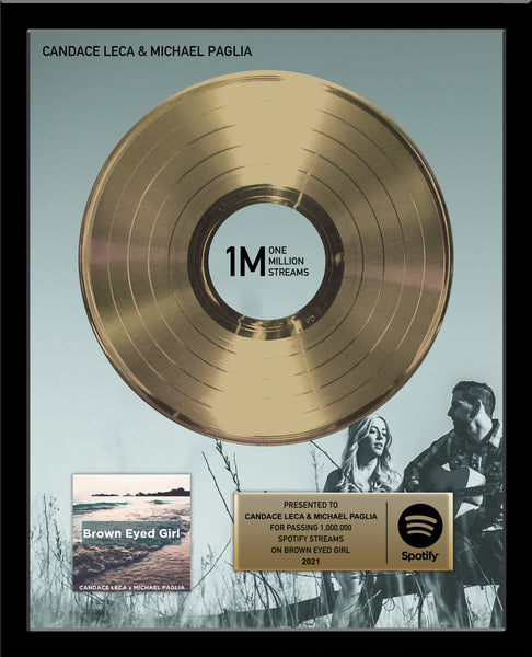 GOLD RECORD Album Tribute 18" x 22" Framed Artist & Band 12" - Metalized Gold Record